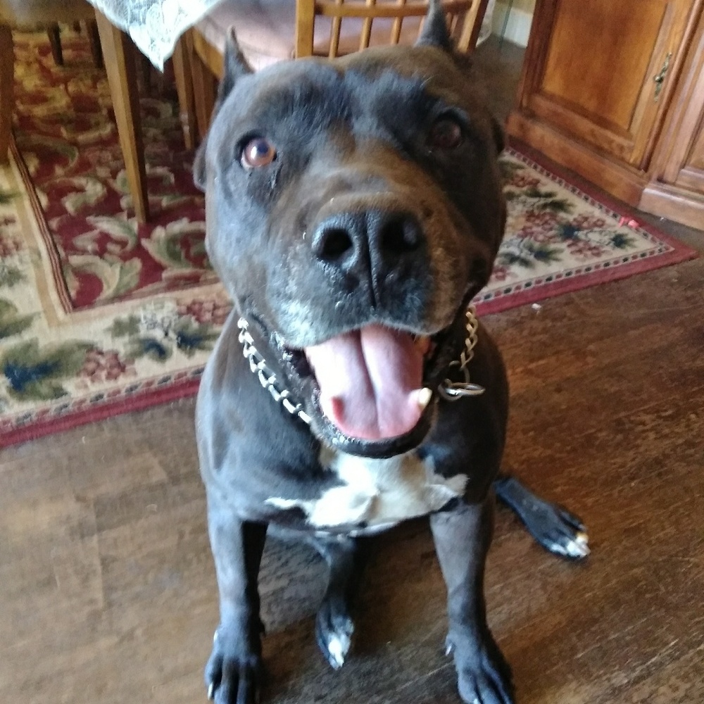 Meet your Posher, Patrick